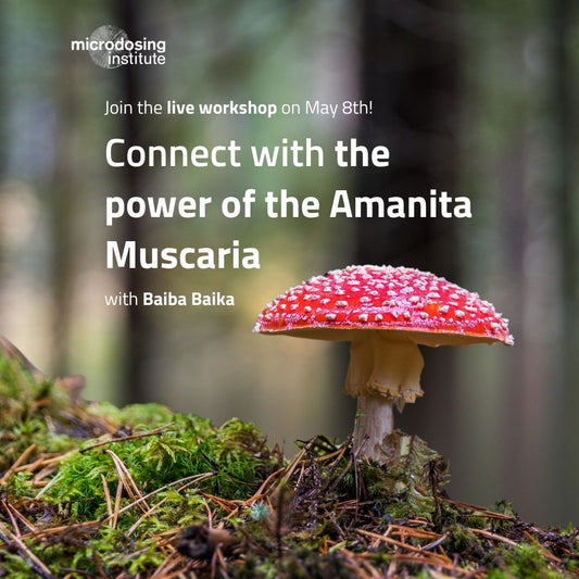Workshop series part 4: Microdosing Amanita Muscaria with Baiba Baika